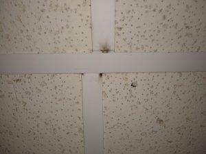 electrical arcing on a ceiling grid