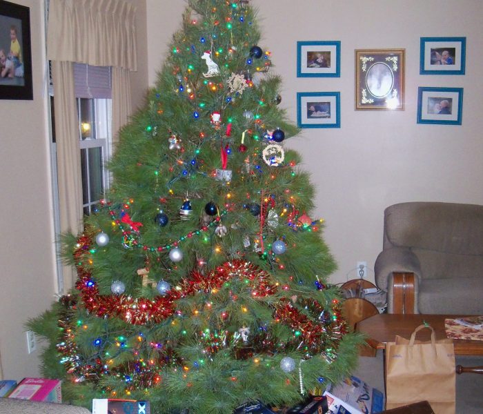 Christmas tree with toys for tots presents under it